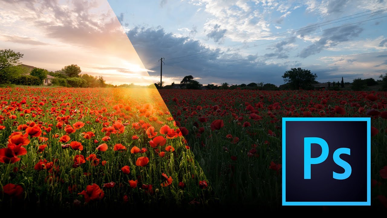 7 Powerful Photography Tips for Amazing Photos