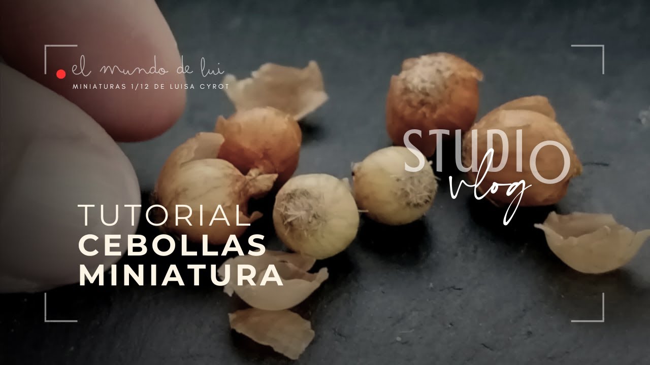 ♥ DIY Mini Cebolla amarilla de porcelana fría escala 1:12 por Luisa Cyrot #dollhouse