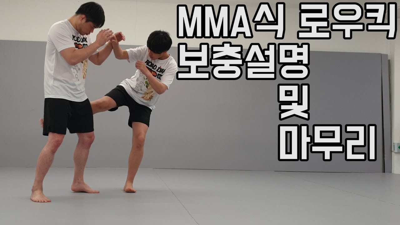 MMA식 로우킥 - 보충설명 및 마무리