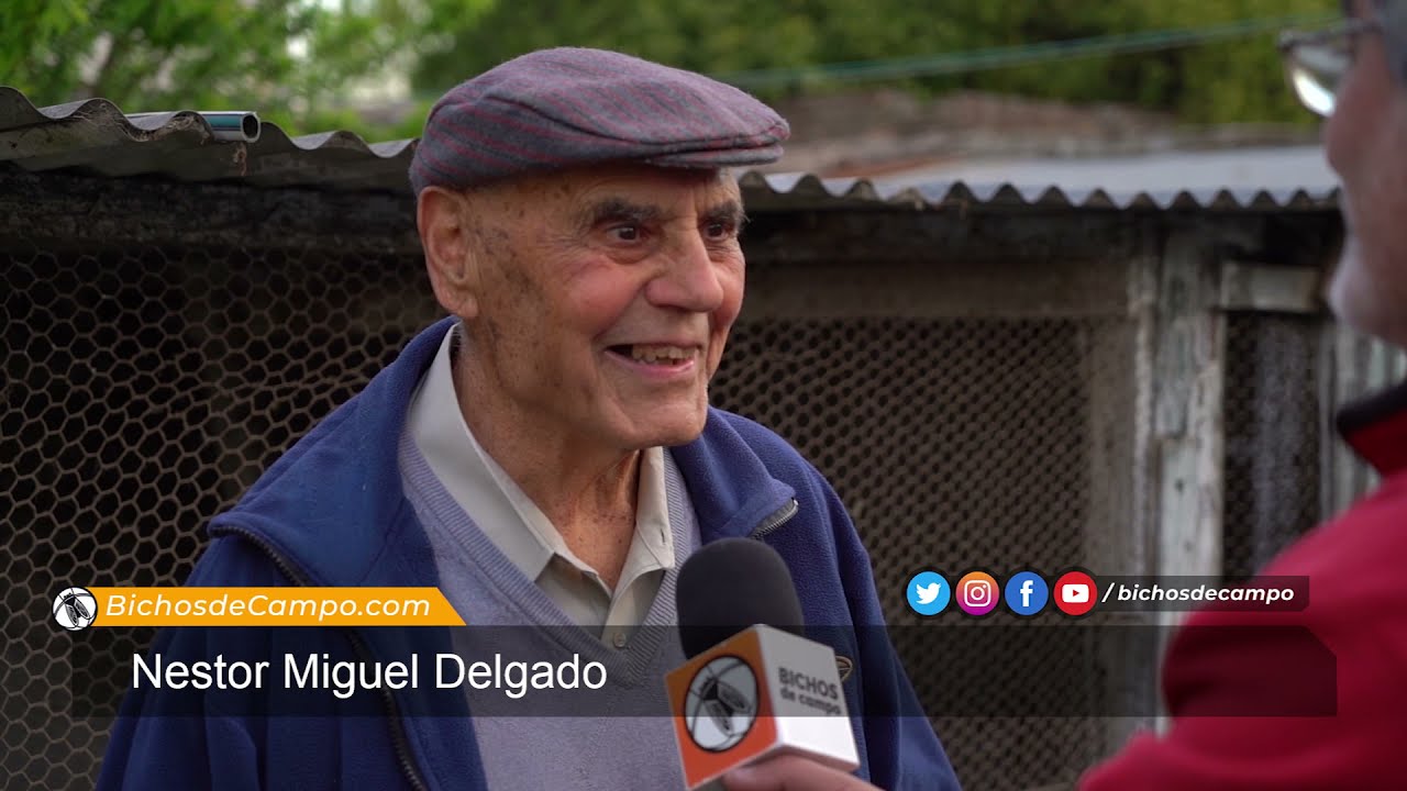 Nestor Miguel Delgado, criador de Aves de raza, nos cuenta como empezó con esa actividad.