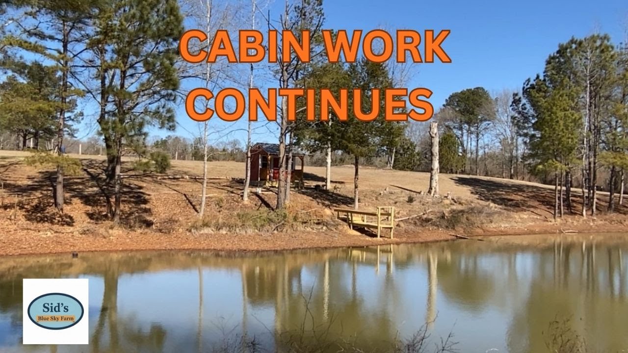 More Work On The Pond Cabin On A Chilly Saturday