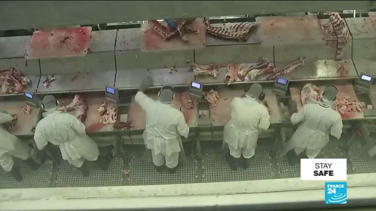Covid-19: slaughterhouses across the world are increasingly becoming a hotspot for the virus