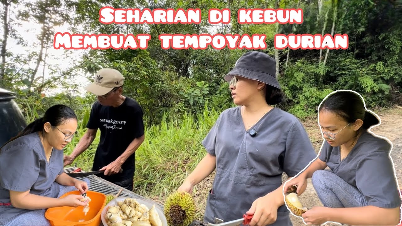 PART 2 | BANYAK DURIAN DIBUAT TEMPOYAK