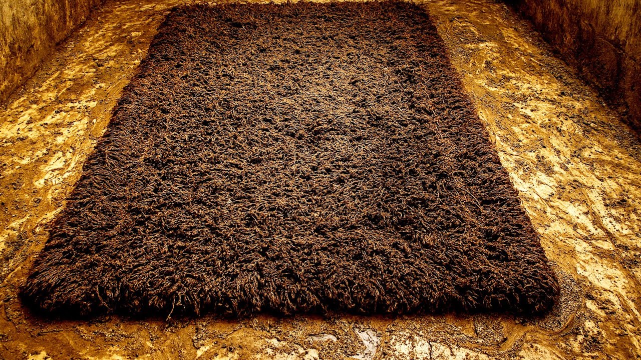 Extreme Carpet Cleaning: Removing Deep Dirt & Sludge from Shaggy Rug!