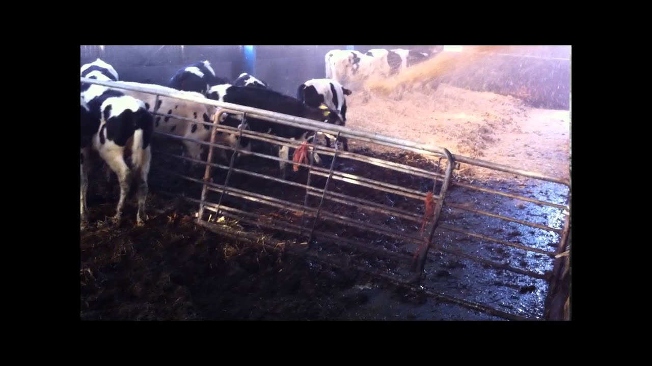 SKOVBO stro zaagsel verdeel machine instrooimachine straw blower