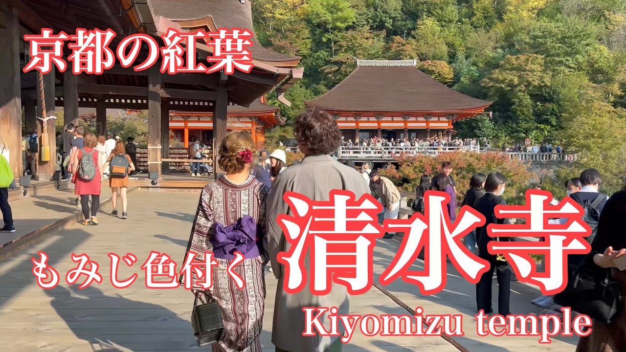 2023年11月2日 京都の紅葉🍁 外国人観光客も満足する清水寺を散策 Stroll around Kiyomizu-dera Temple in Kyoto 【4K】