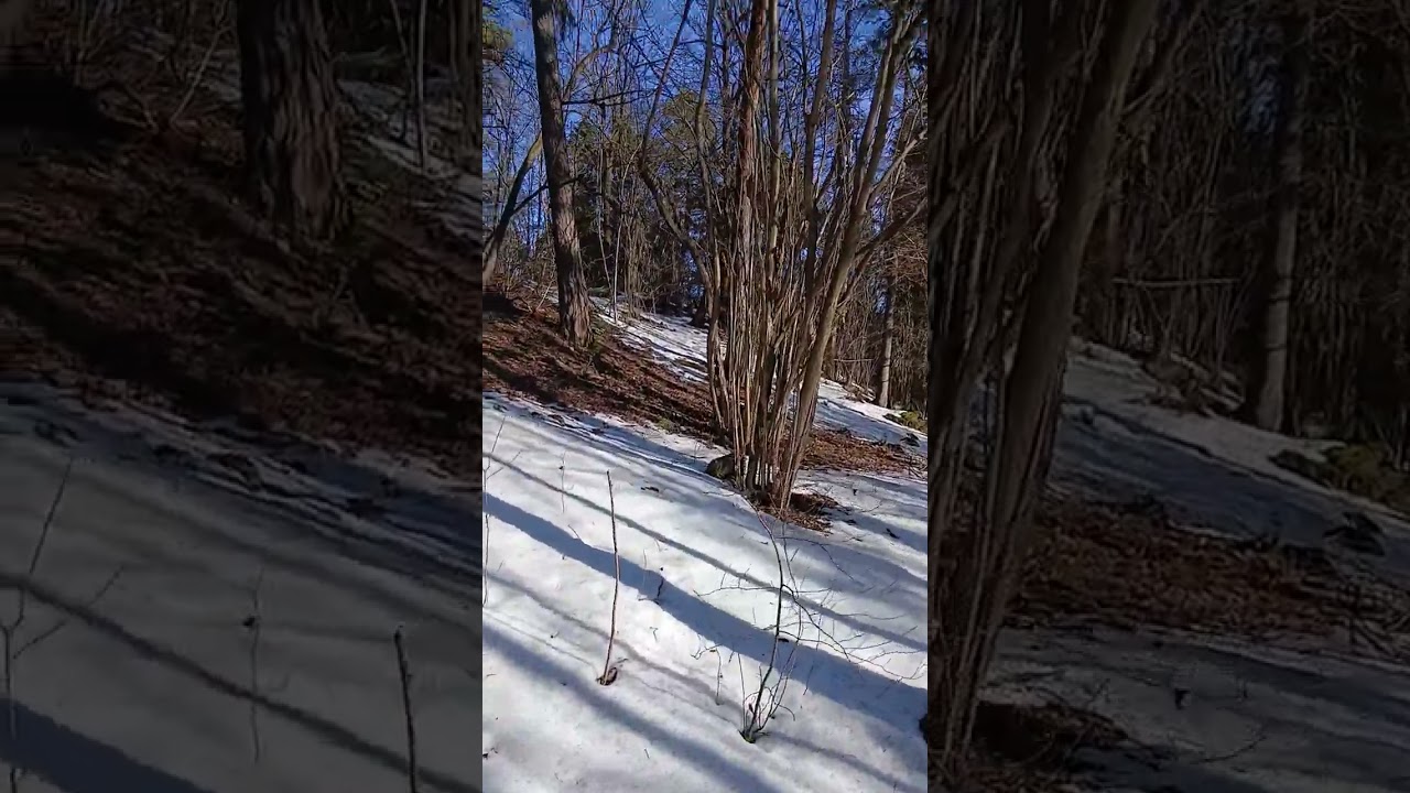 Spring is here