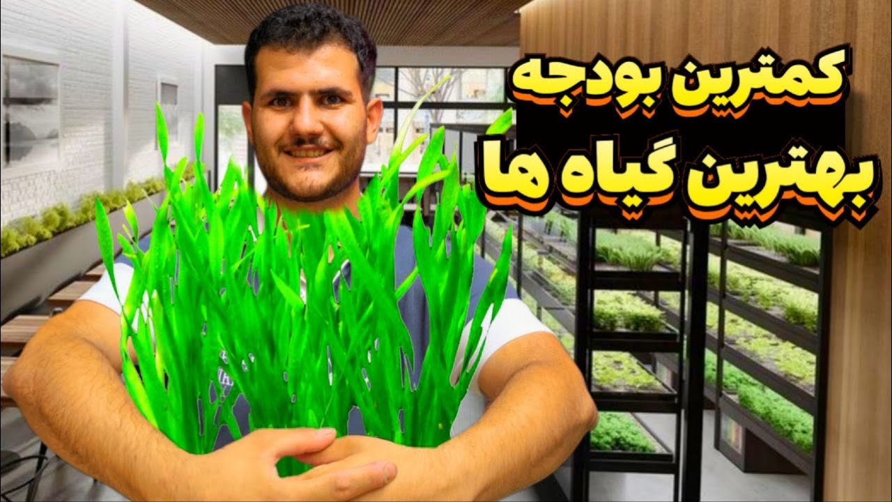 یه آکواریوم پلنت زیبا بساز با گیاه های اقتصادی 🤑🌱