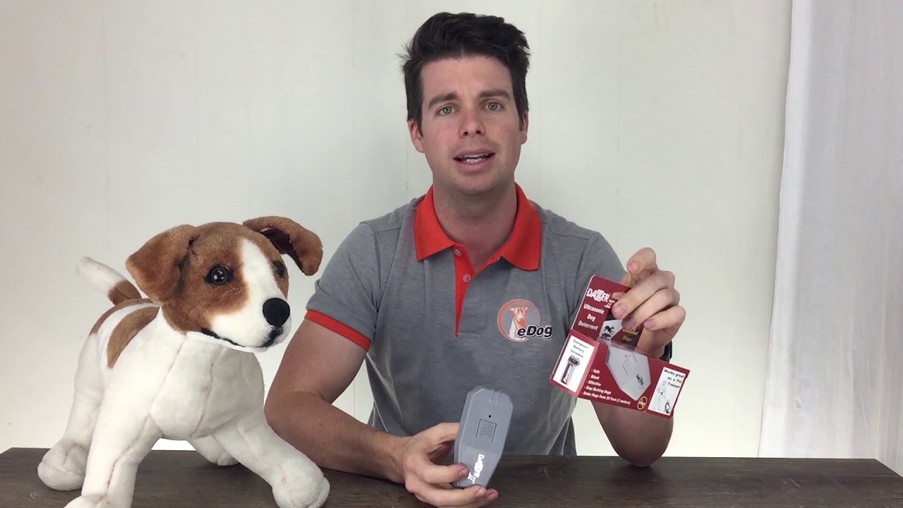 DAZER II™ ULTRASONIC DOG DETERRENT / REPELLENT - demonstration