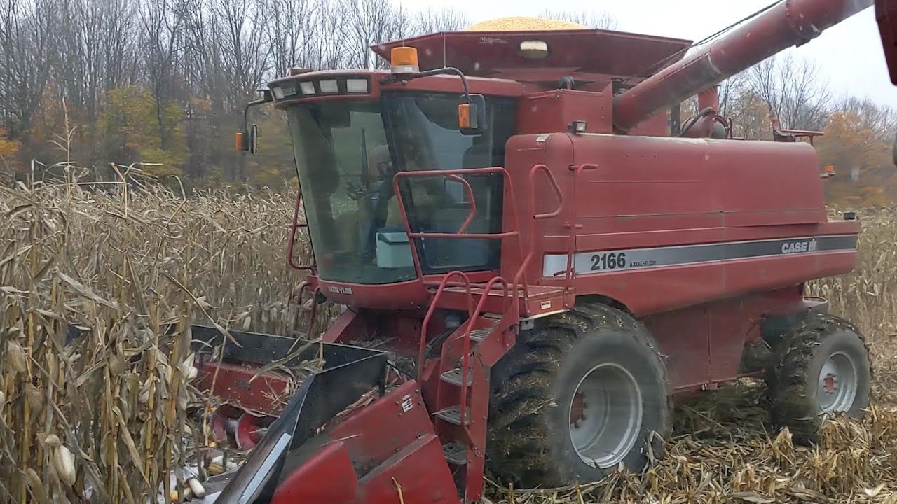 Corn Harvest 2020