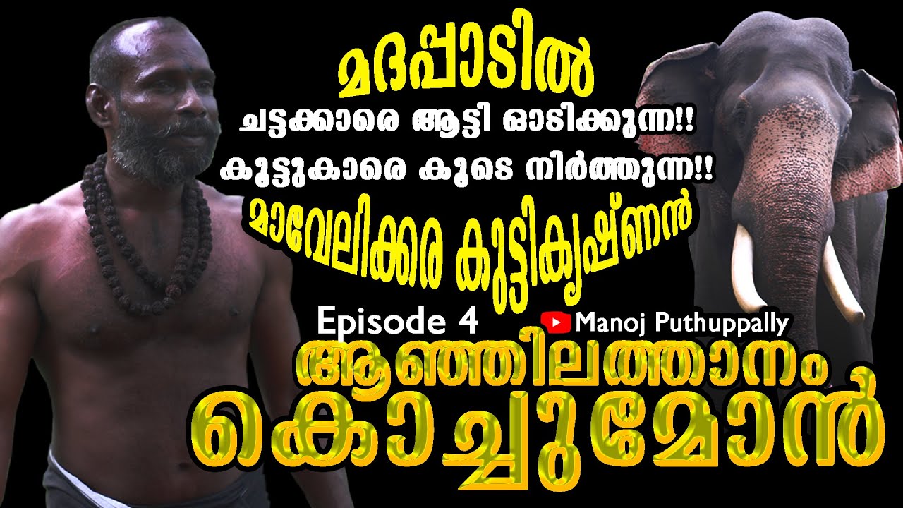മദപ്പാടിൽ ചട്ടക്കാരെ ആട്ടി ഓടിക്കുന്ന,കൂട്ടുകാരെ കൂടെ നിർത്തുന്ന മാവേലിക്കര കുട്ടികൃഷ്ണൻ | Episode 4