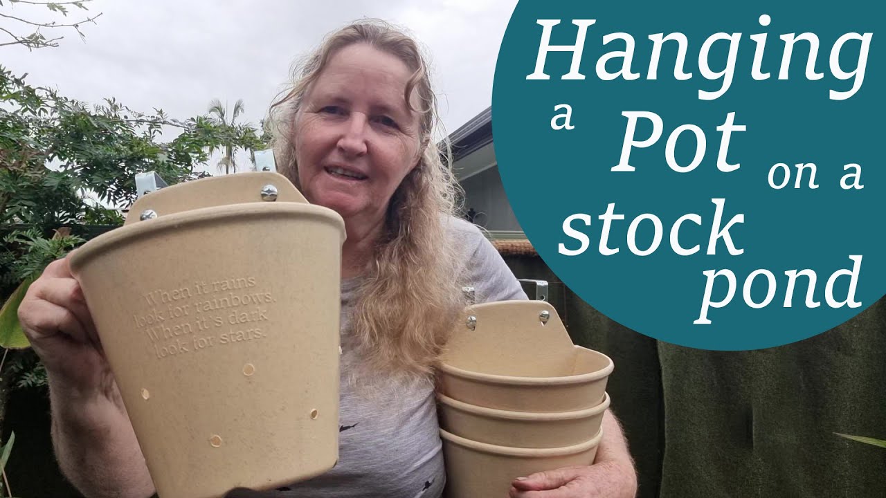 How to attach planting pots to a stock pond - Ep 26
