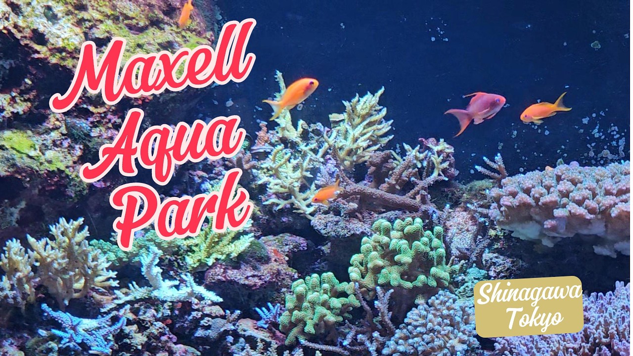 Maxell Aqua Park Shinagawa