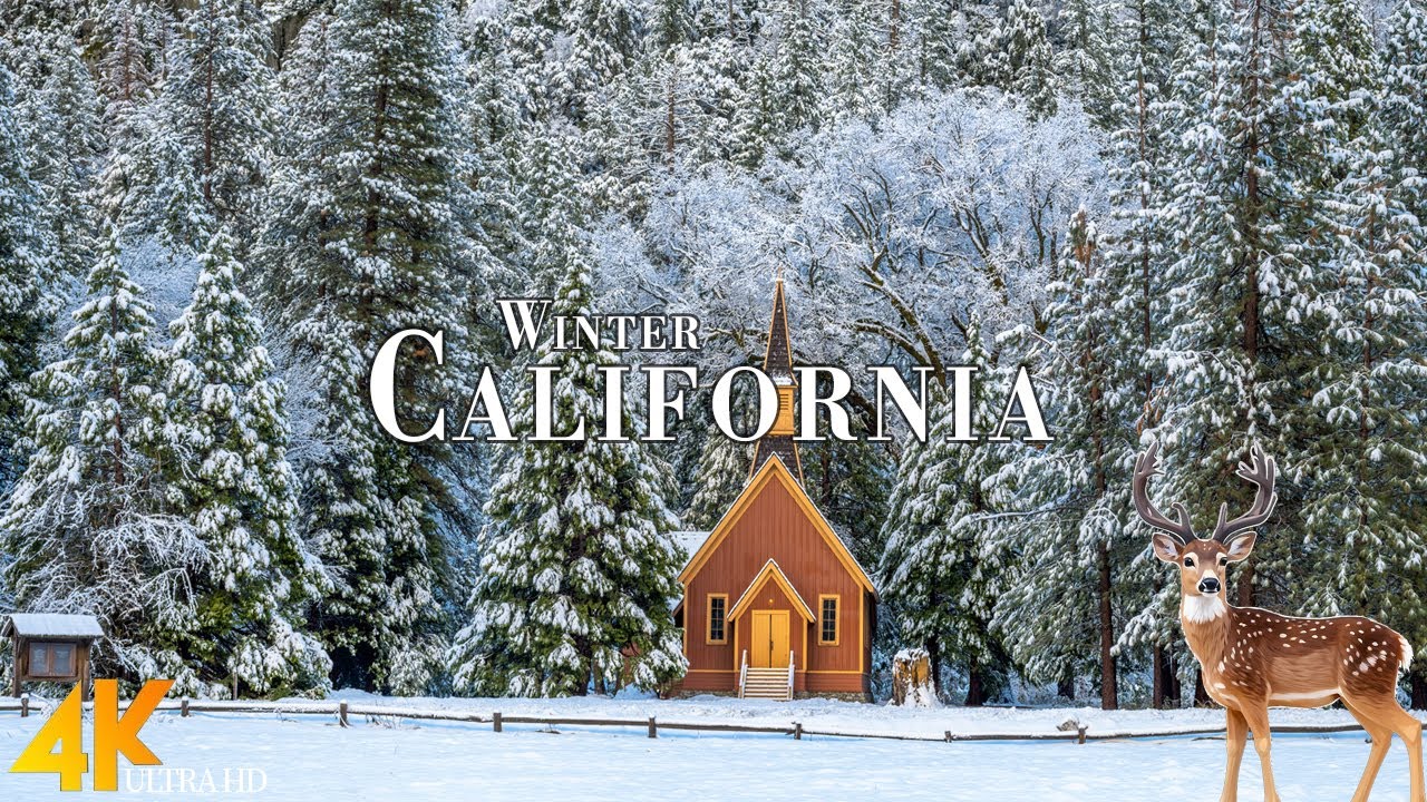 Winter California 4K Ultra HD • Stunning Footage, Scenic Relaxation Film with Calming Music.