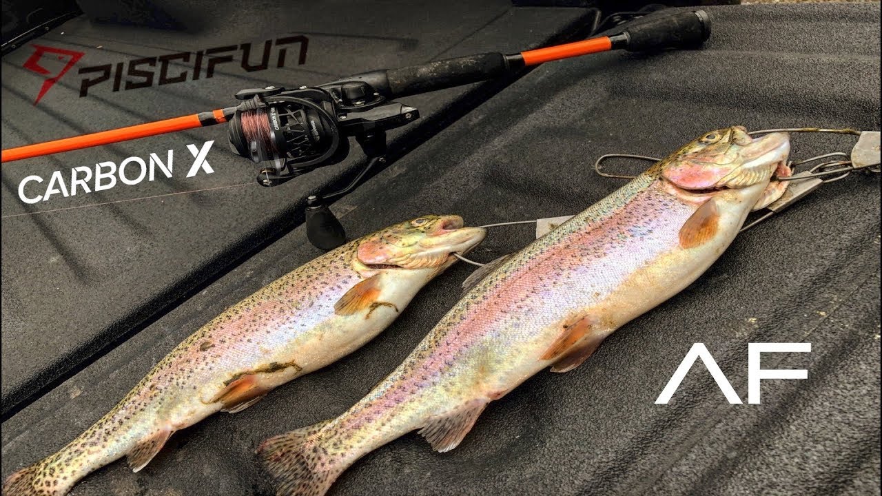 PISCIFUN CARBON X 1000!!! THIS REEL CATCHES IT ALL!!!