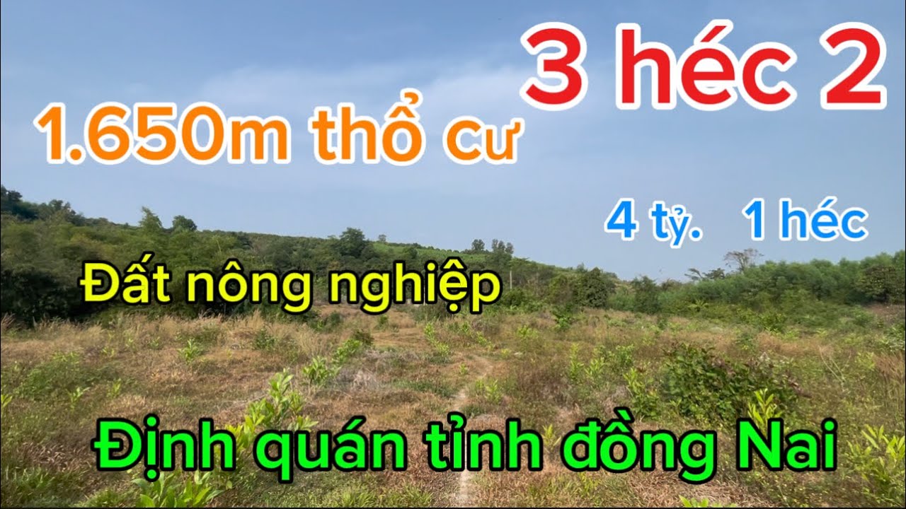 Bán 3héc2 có 1.650 thổ cư đất tại thị trấn định quán tỉnh đồng Nai 