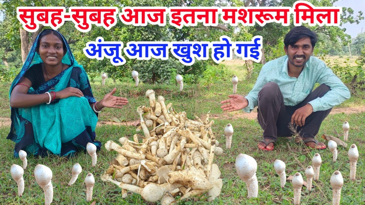 सुबह-सुबह आज इतना मशरूम मिला अंजू आज खुश हो गई
