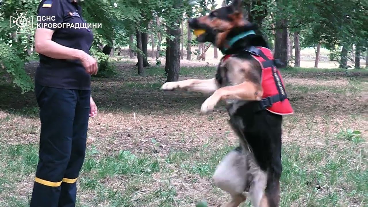 Приєднуйся до команди кінологів Служби порятунку Кіровоградщини !