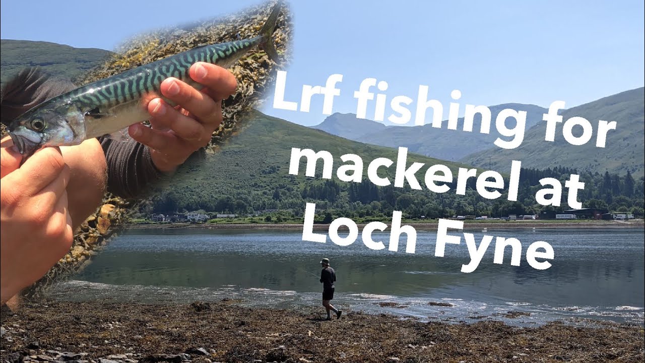 Lrf fishing at Loch Fyne | sea fishing uk | Mackerel fishing uk | Loch Fyne fishing