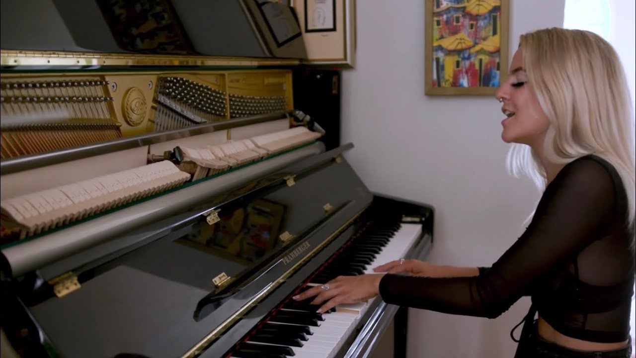 Roses - SAINt JHN (Cover by Nina)