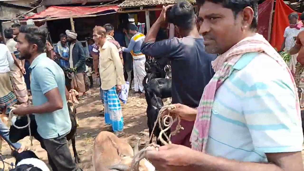 বাঘার ছাগল মেলা 