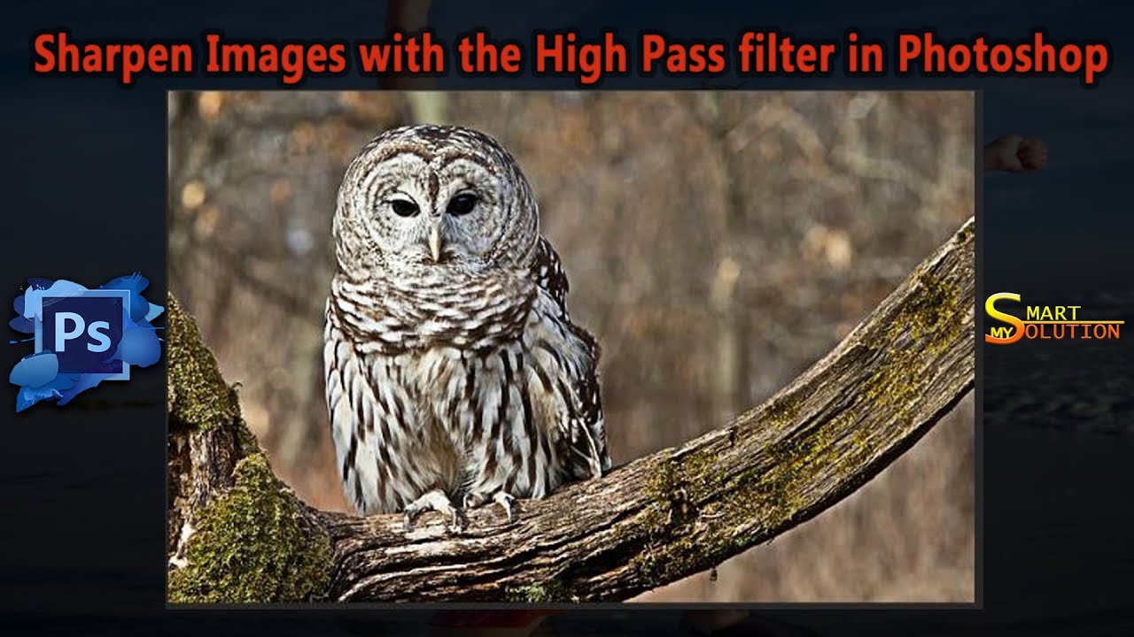 Sharpen Images in Photoshop with the High Pass filter | My Smart Solution