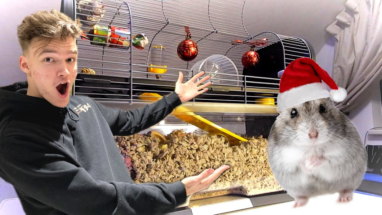 POLE KUNAGI VAREM HAMSTRILE NII TEINUD! VLOGMAS#3