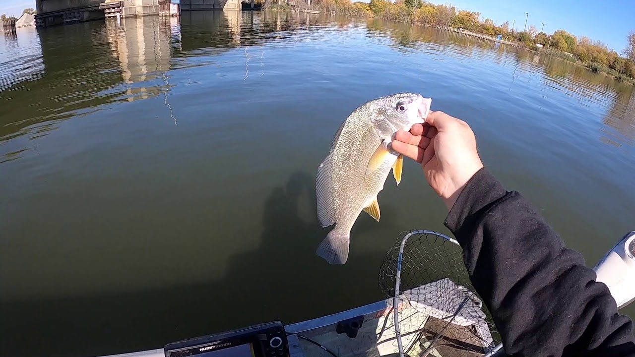 Fishing The Saginaw River In Late October