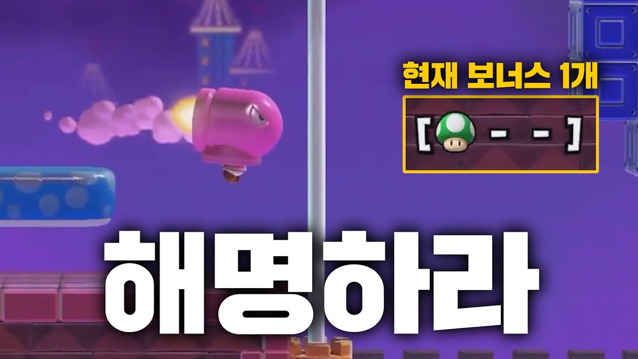 쇼새에게 진실을 요구합니다😡