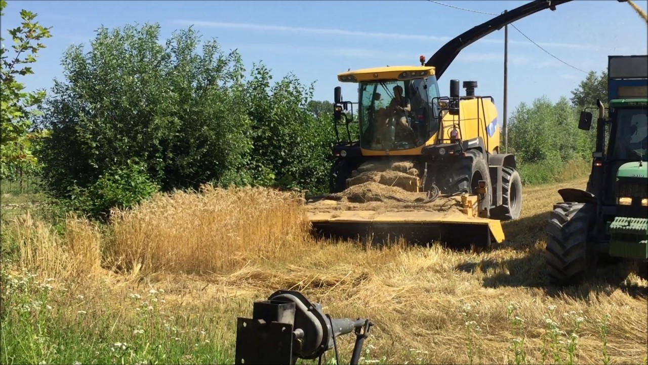 New Holland FR9060 Yellow Bull con testata Discbine 520 insilato triticale