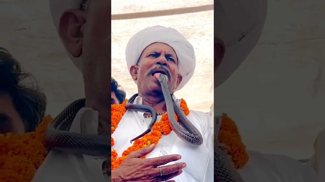 Veer Tejaji Maharaj#tarding #viralvideo #tejaji