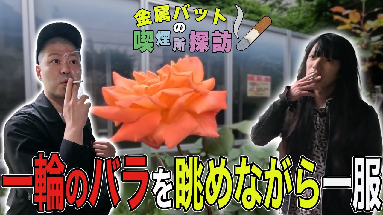金属バットの喫煙所探訪〜巨大な木と一輪のバラを眺めながら一服〜