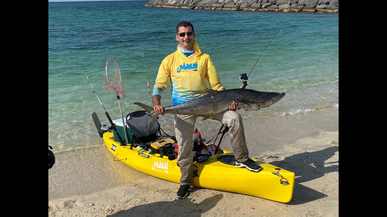 kayak fish kingfish life bait تشخيط طعم حي للكنعد