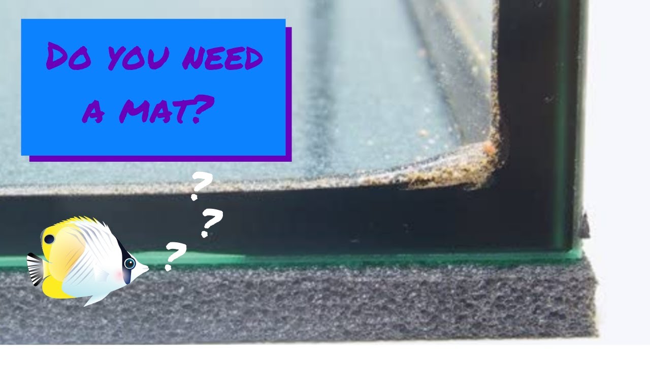 Do You Need a Mat Under Your Aquarium?