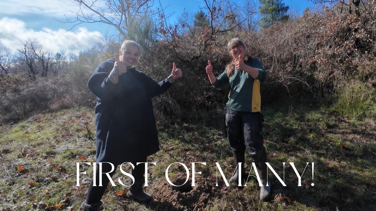 #33 New Life Takes Root | Planting Our First Trees & Beginning Phase Two