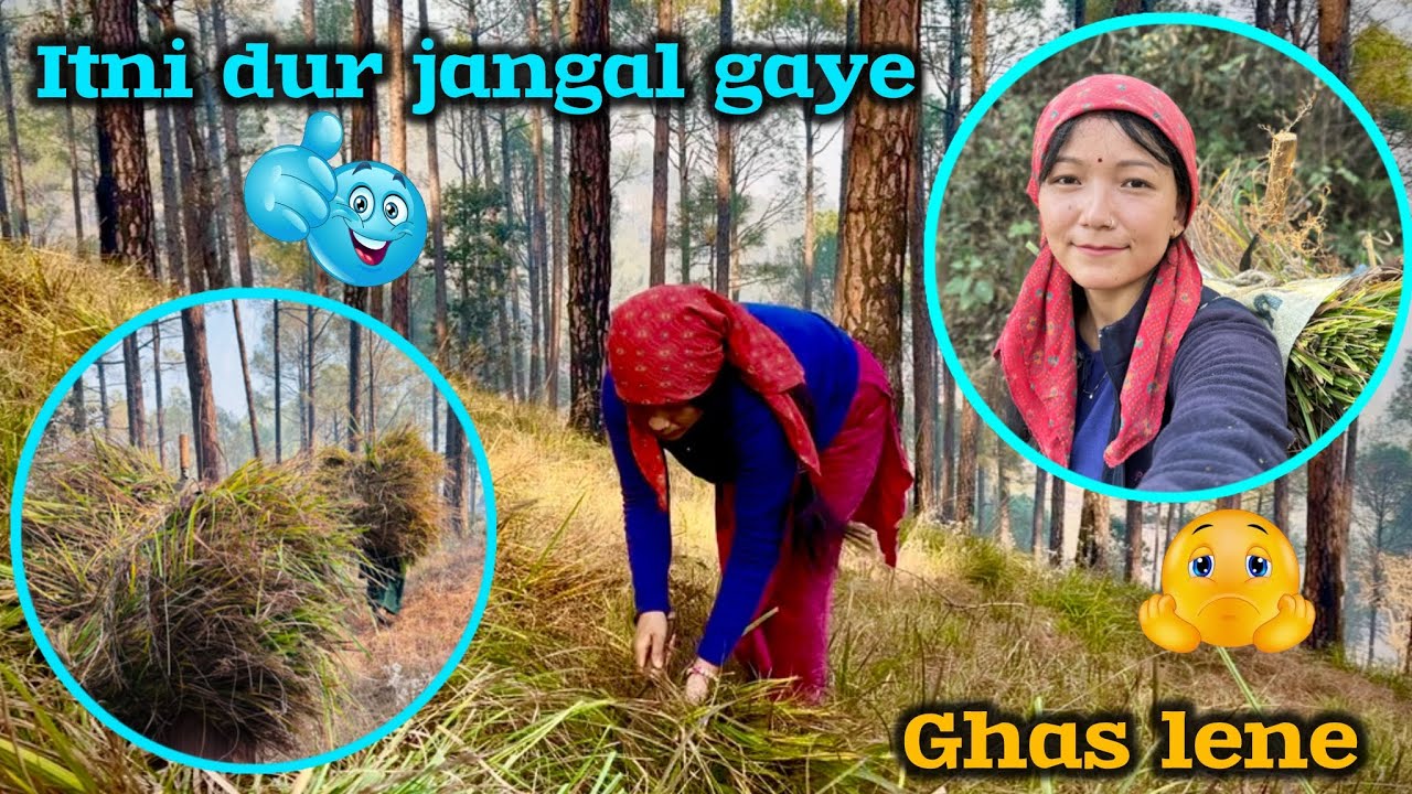 Itne Dur Jangal Gaye Ghas Katne 💁🏻‍♀️ // Gaon Me Pehali Bar Banaya Gazar Ka Halwa 🍮// Rekha Vlogs 