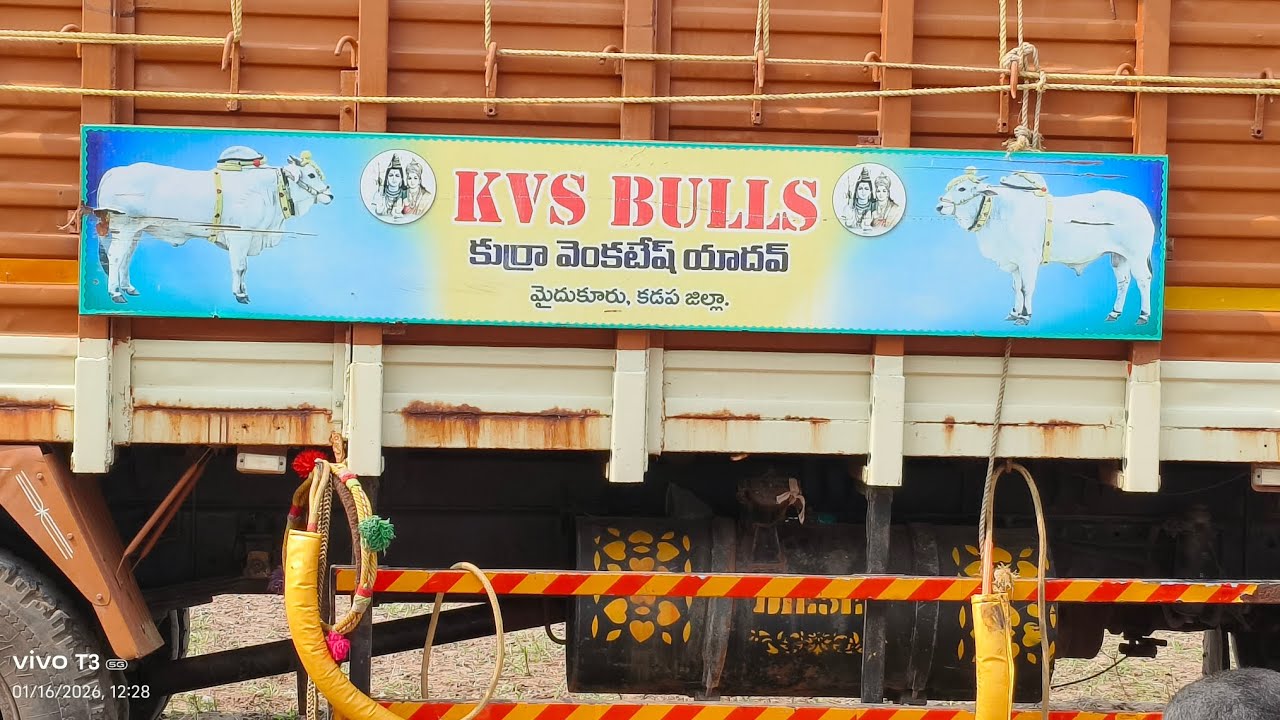 KVs Bulls shepherd Kurla Venkatesh Yadav town YSR Nagar Narhari Puram