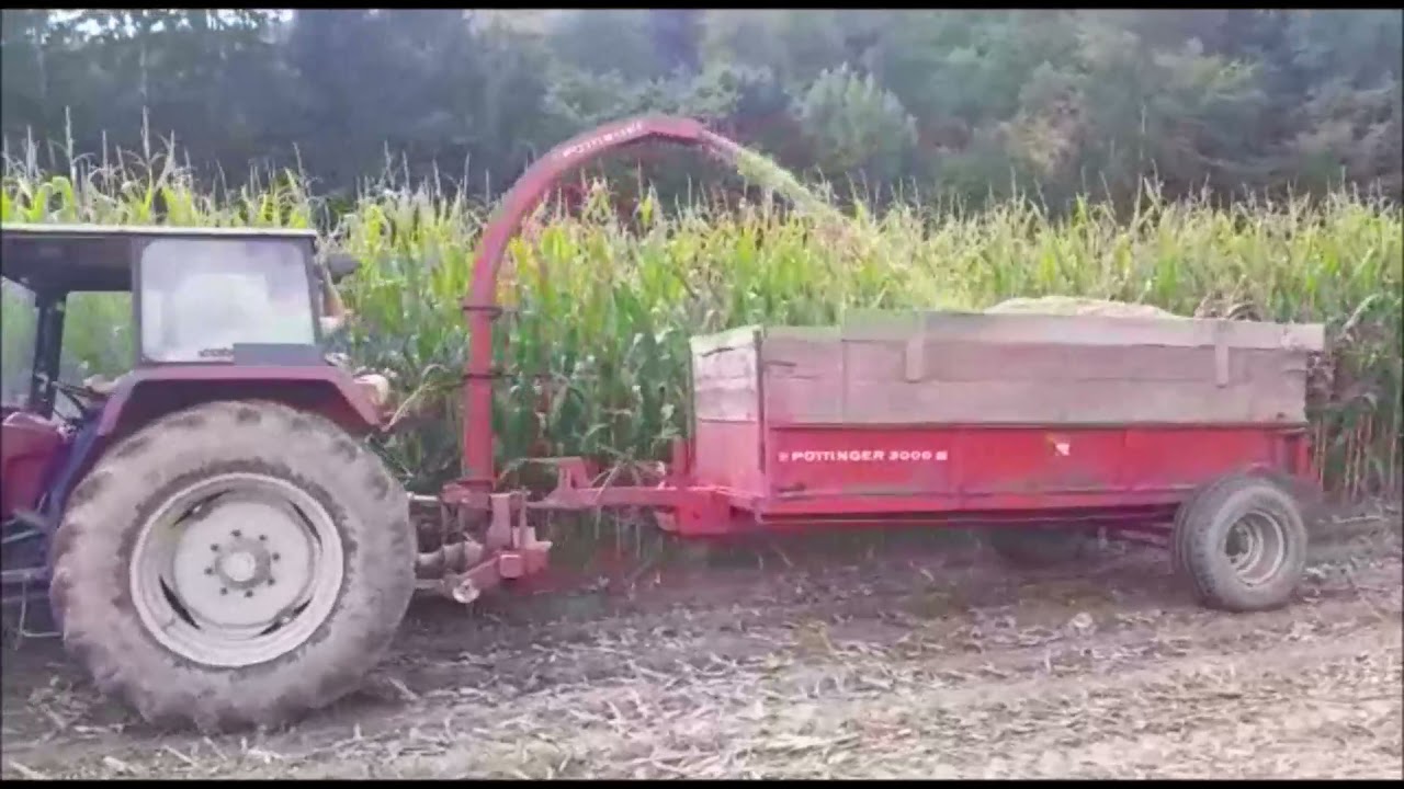 Mais Silieren 2021 Mexxen mit dem Steyr 768 Plus