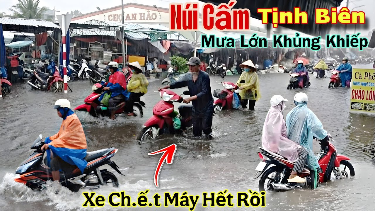 Mưa Lớn Khủng Khiếp Chợ An Hảo Núi Cấm Ngập Lụt Nhiều Xe Ch.ế.t Máy Hàng Loạt