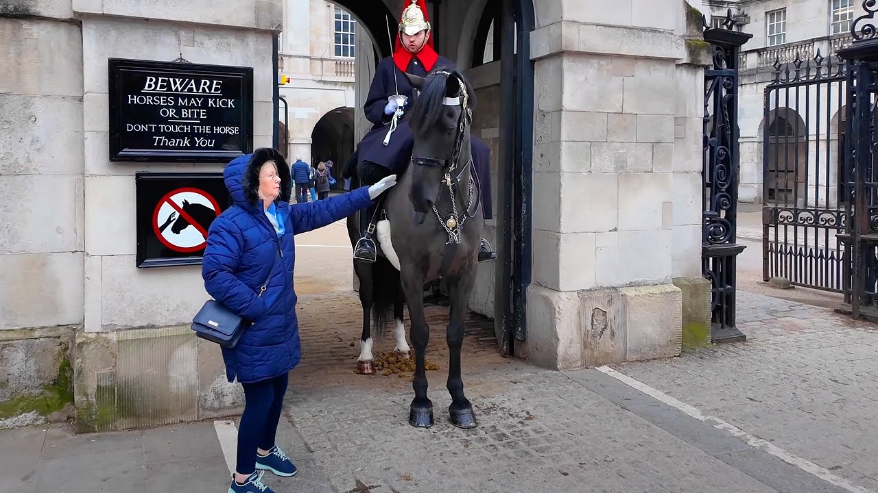 Silly Tourist vs. The King's Guard: Attempt to Touch the Horse.!