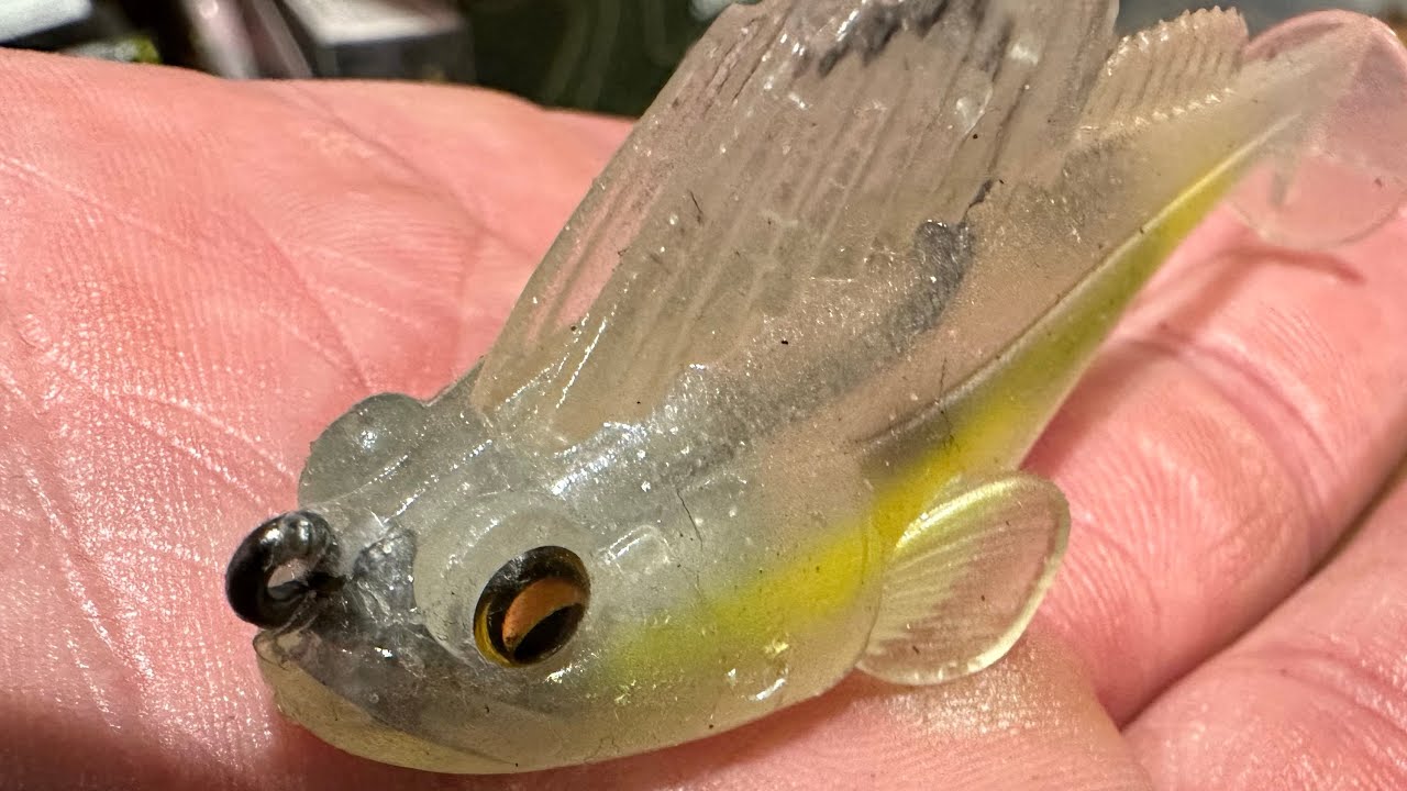 I Caught 75 Bass On This Lure The First Day I Fished It…