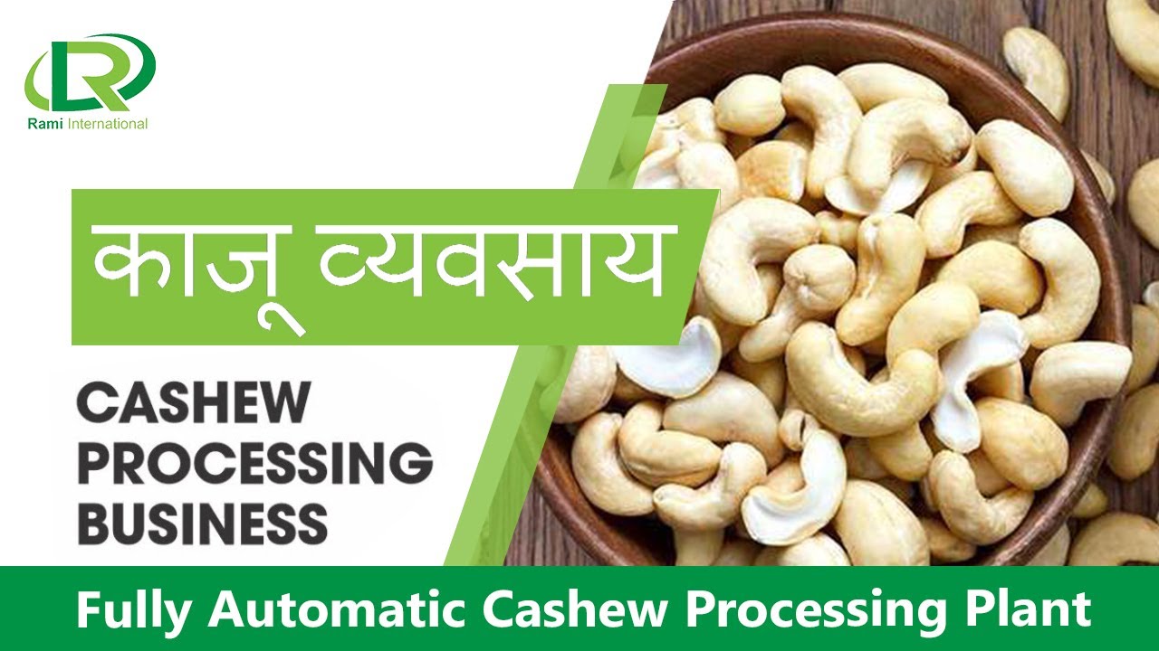 Start Cashew Processing Business | Cashew Processing Machinery | Cashew Processing Plant Setup