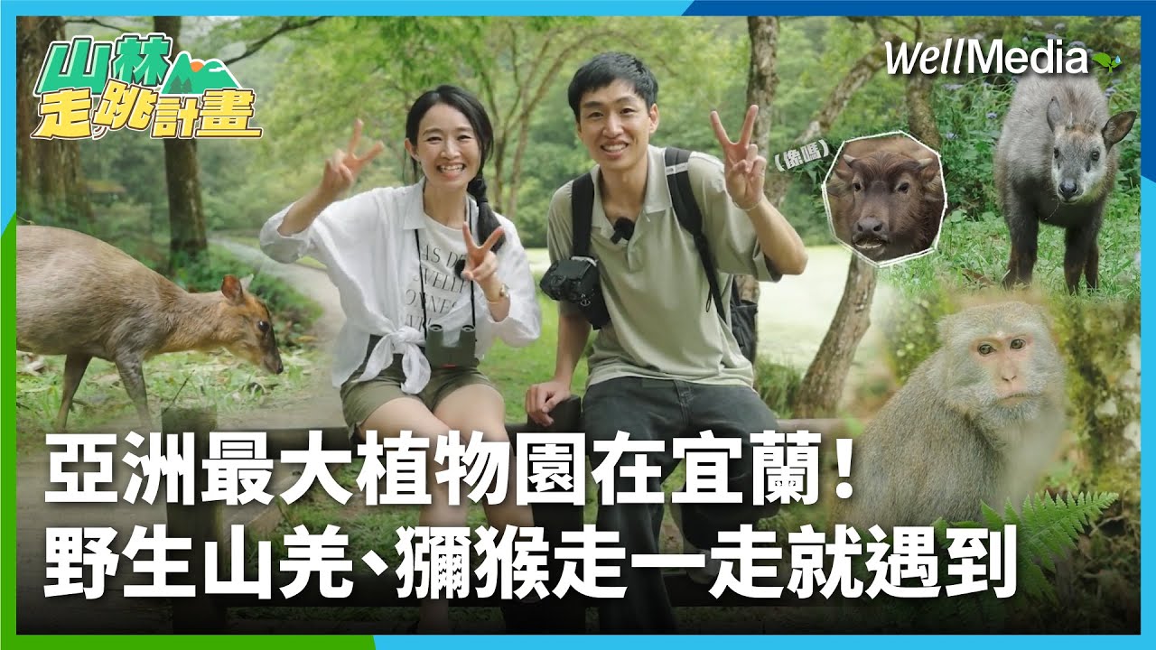 必遊宜蘭景點！亞洲最大植物園在這，野生山羌、獼猴大本營！超美生態森林園區 #福山植物園【山林走跳計畫】EP2 @WellMediaGlobal