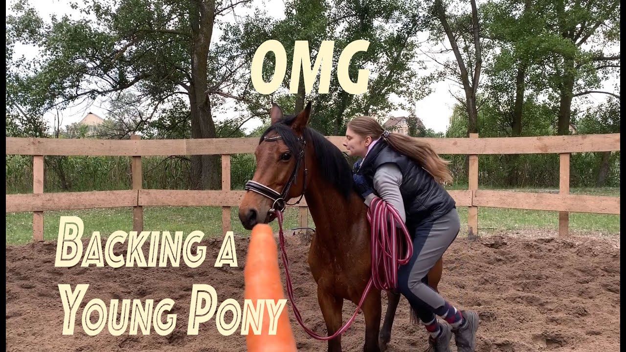 Backing a Pony | What I Begin With Starting a Young Horse | LanaZavada