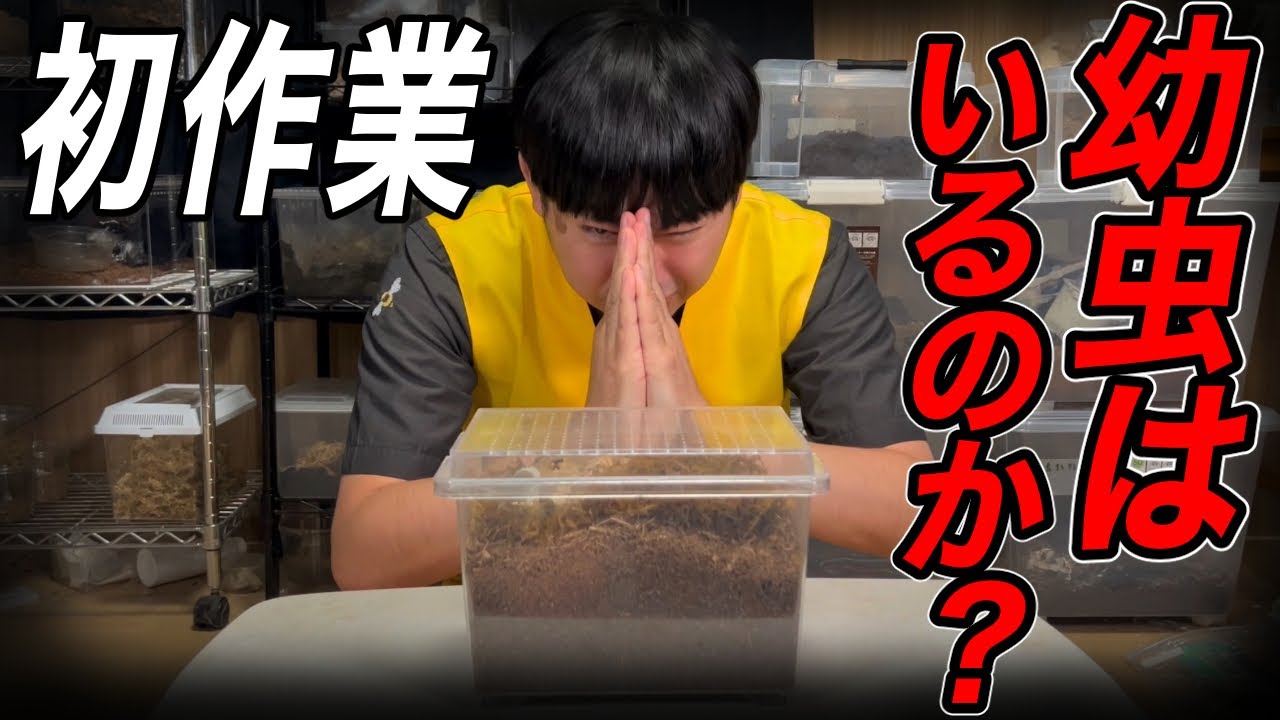 ３ヶ月放置した土塊を開封します！！！