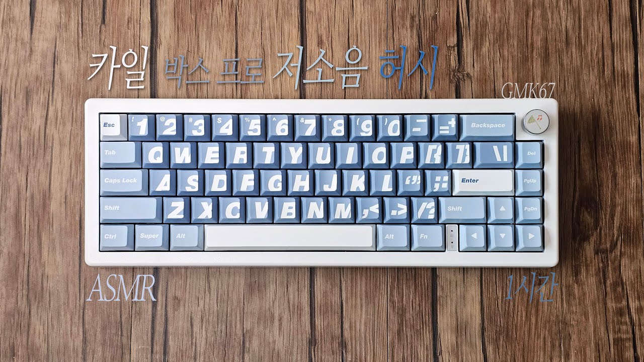 [ASMR] 카일, 박스 프로 저소음 허시 스위치 (GMK67 베어본) 타건 1시간