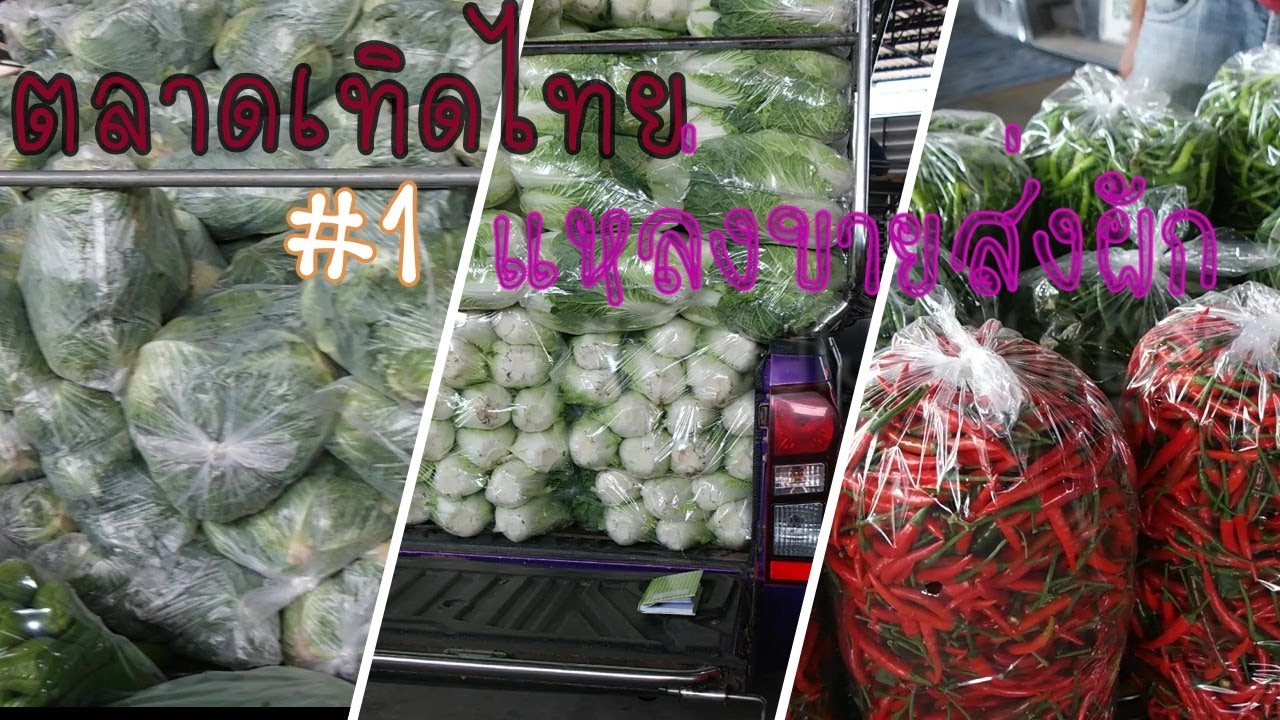 #1 ตลาดเทิดไท ตาลคู่ โคราช ตลาดขายส่งผักทุกชนิด