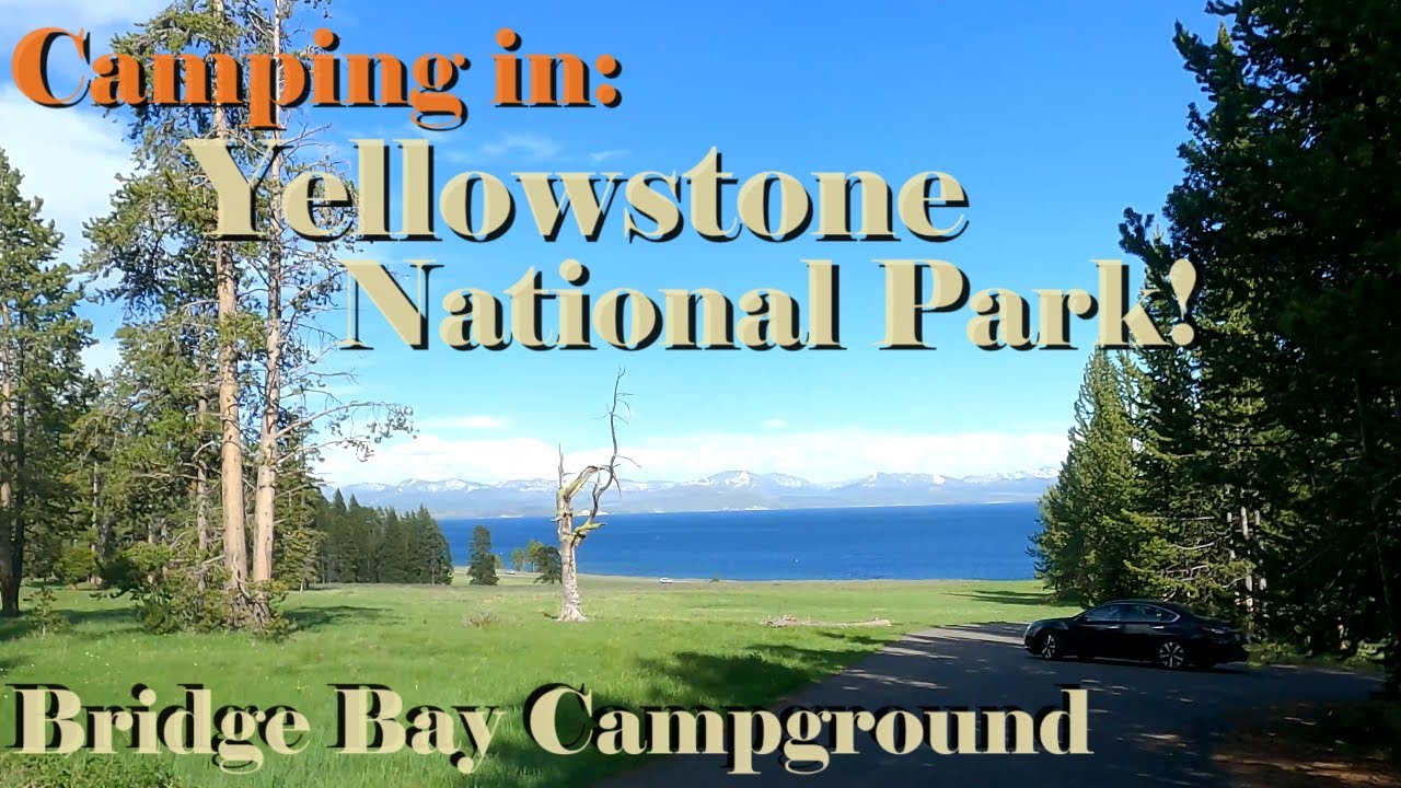 Camping Guide for Yellowstone National Park Bridge Bay Campground all about best spots for you camp.