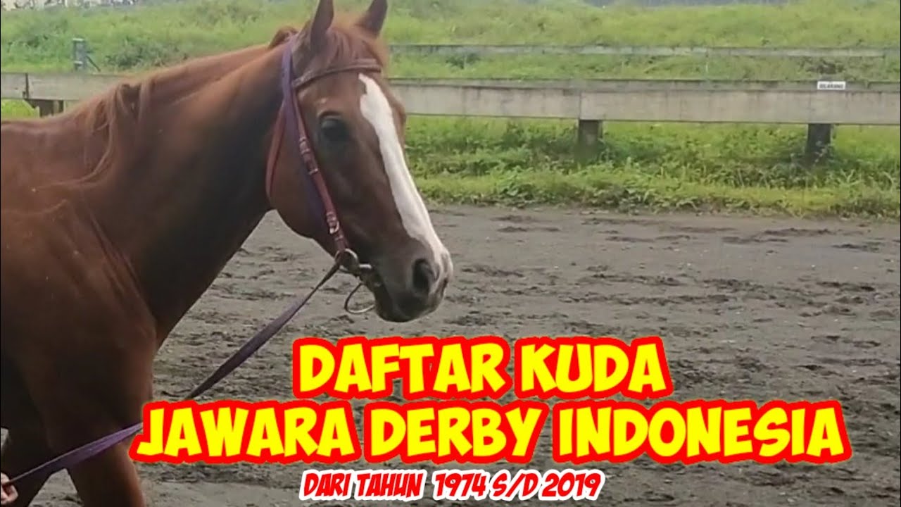 DAFTAR KUDA JUARA DERBY DARI TAHUN 1974 SD 2019