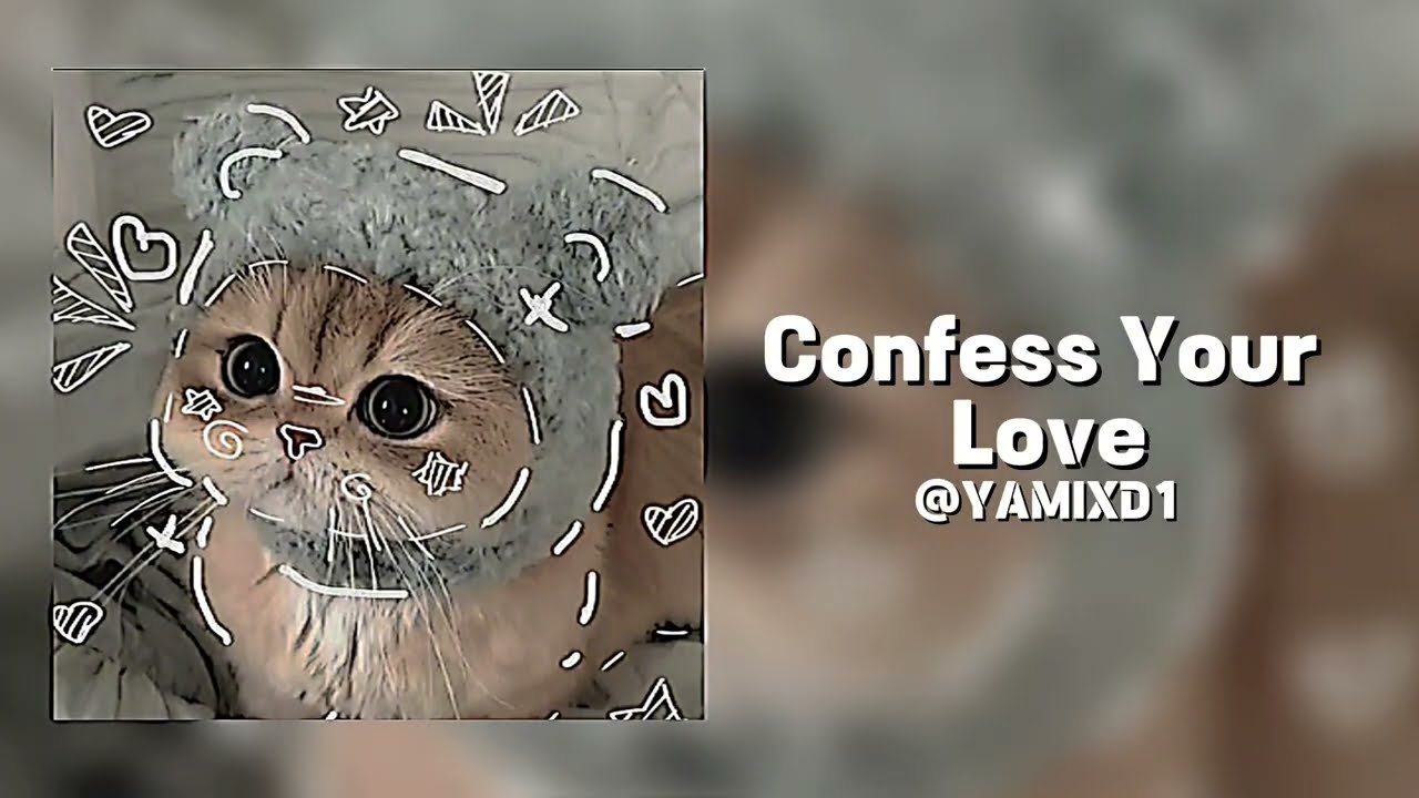 sped up + slowed songs for quiet minds & loud emotions. use headphones 🎧☕🦢